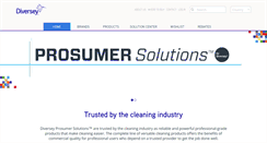 Desktop Screenshot of diverseybrands.com